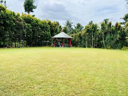 Bin Tong Park (D10), Detached #460160471